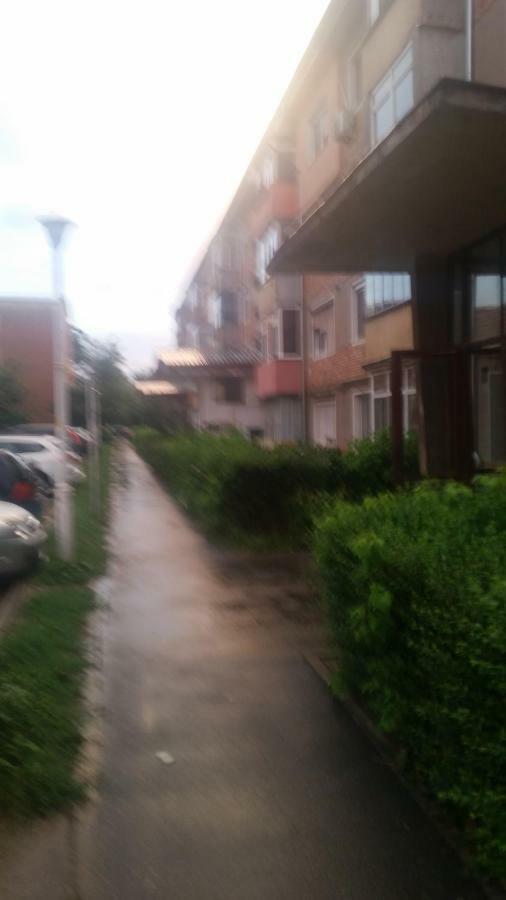 White Black Rooms Hunedoara Exterior photo